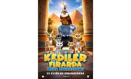 KEDİLER FİRARDA: MISIR OPERASYONU